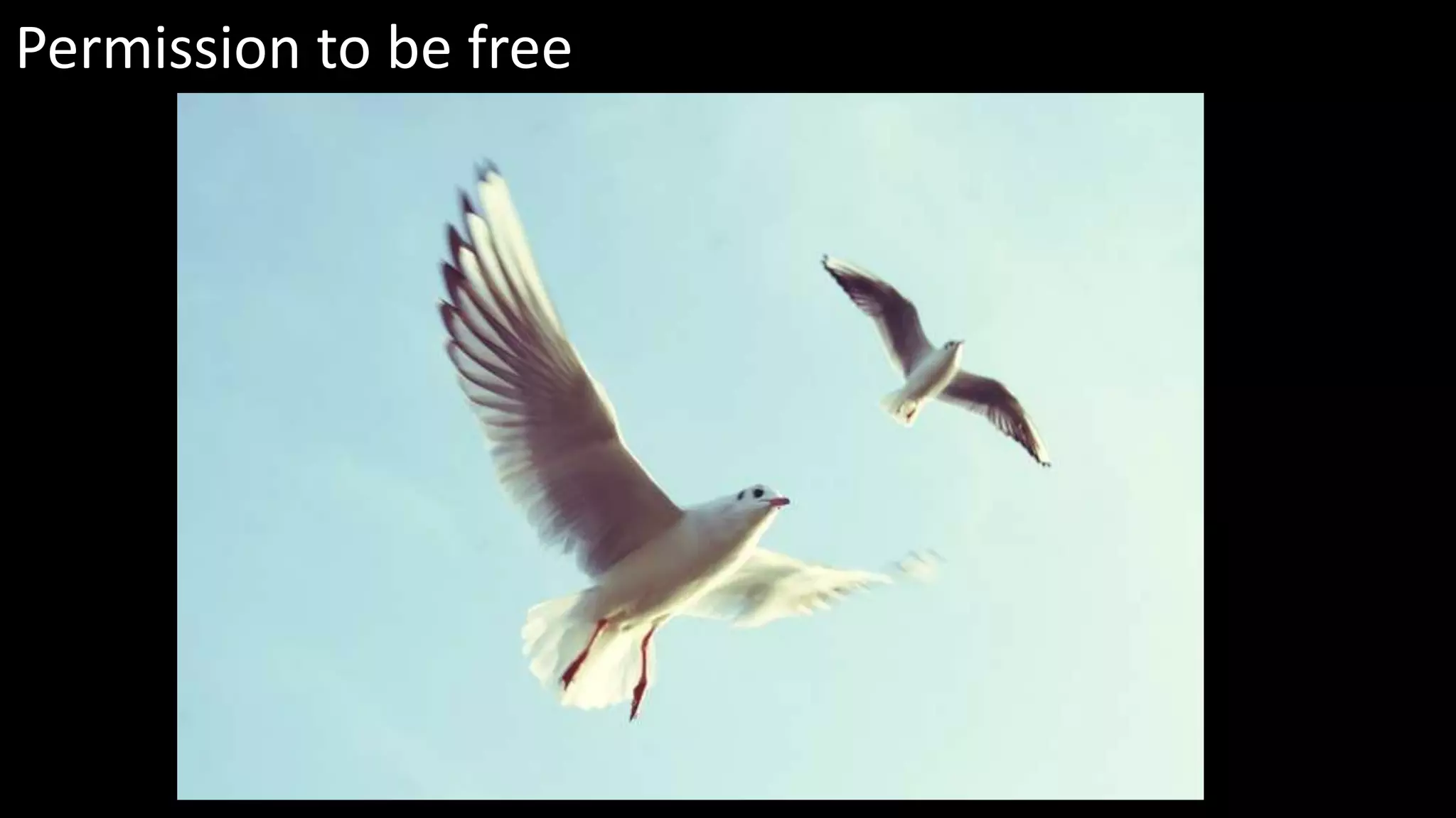 Permission to be free
 