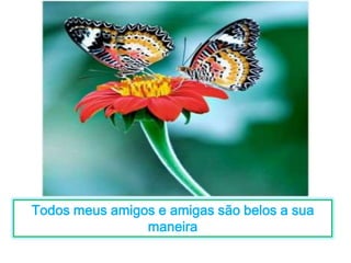 Todos meus amigos e amigas são belos a sua 
maneira 
 