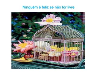 Ninguém é feliz se não for livre 
 