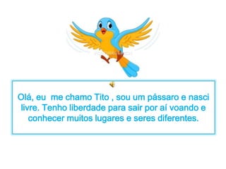 Olá, eu me chamo Tito , sou um pássaro e nasci 
livre. Tenho liberdade para sair por aí voando e 
conhecer muitos lugares e seres diferentes. 
 