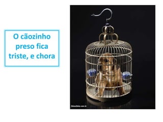 O cãozinho 
preso fica 
triste, e chora 
 