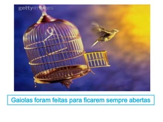Gaiolas foram feitas para ficarem sempre abertas 
 