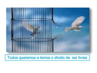 Todos queremos e temos o direito de ser livres 
 