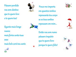 Pássaro perdido 
voa sem destino 
que te quero leve 
e te quero teu! 
Quanto mais longe 
voares 
mais fortes serão tuas 
asas 
mais belo será teu canto 
Pouco me importa 
em quantos ninhos 
repousarás teu corpo 
se os teus sonhos 
repousam em mim... 
Então voa sem rumo 
pássaro inquieto 
que te quero livre 
porque te quero feliz! 
 