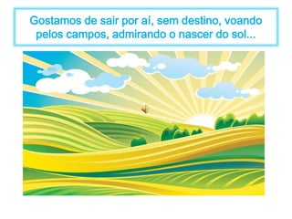 Gostamos de sair por aí, sem destino, voando 
pelos campos, admirando o nascer do sol... 
 