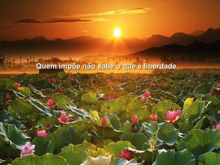 Quem impõe não sabe oo qquuee éé lliibbeerrddaaddee.. 
 