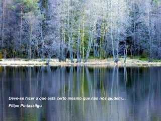 Deve-se fazer o que está certo mesmo que não nos ajudem… Filipe Pintassilgo 