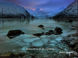 Somos livres de ser solidários… Flávio Furtado 