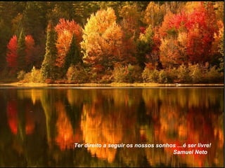 Ter direito a seguir os nossos sonhos …é ser livre!  Samuel Neto 