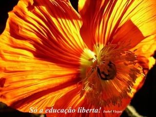 Só a educação liberta!  Isabel Viegas 