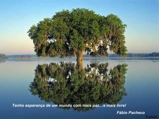 Tenho esperança de um mundo com mais paz…e mais livre! Fábio Pacheco 