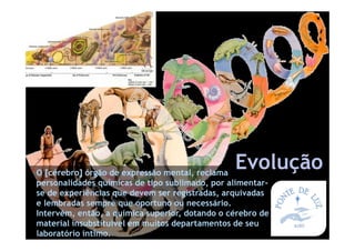 responsabilidade
*O [cérebro] órgão de expressão mental, reclama
personalidades químicas de tipo sublimado, por alimentar-
se de experiências que devem ser registradas, arquivadas
e lembradas sempre que oportuno ou necessário.
Intervém, então, a química superior, dotando o cérebro de
material insubstituível em muitos departamentos de seu
laboratório íntimo.
Evolução
 