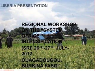 LIBERIA PRESENTATION



        REGIONAL WORKSHOP
        ON THE “SYSTEM
        OFRICE
        INTENSIFICATION”
        (SRI) 26TH-27TH JULY-
        2012
        OUAGADOUGOU,
        BURKINA FASO”
 