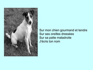 Sur mon chien gourmand et tendre
Sur ses oreilles dressées
Sur sa patte maladroite
J'écris ton nom
 