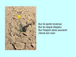 Sur la santé revenue
Sur le risque disparu
Sur l'espoir sans souvenir
J'écris ton nom
 