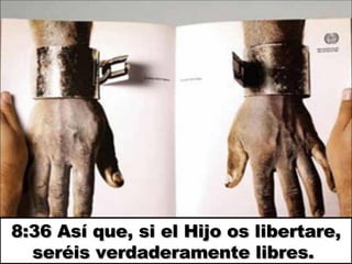 8:36 Así que, si el Hijo os libertare, seréis verdaderamente libres.  