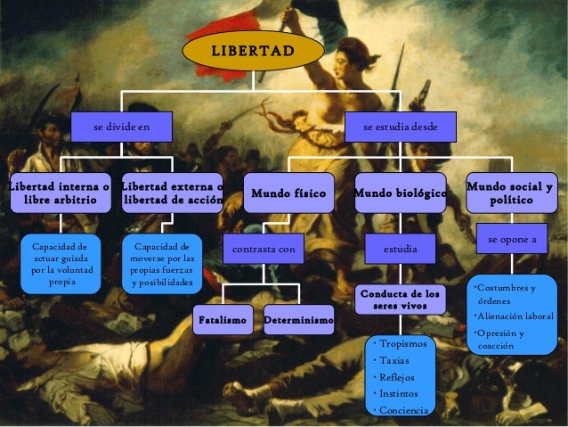 Resultado de imagen para libertad mapa conceptual