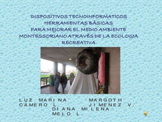 LUZ MARINA CAMERO L .  MARGOTH JIMENEZ V.  DIANA MILENA MELO L. 