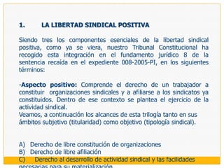 Hay que tener siempre presente que el artículo 10 de del Convenio 87 OIT establece que en su articulado «el término organización significa toda organización de trabajadores o de empleadores que tenga por objeto fomentar y defender los intereses de los trabajadores o de los empleadores», con lo que se rompe la vinculación única entre sindicato (organización institucionalizada y permanente) y libertad sindical, abriéndose el abanico de su cobertura también a las formas menos estructuradas y más esporádicas.El sindicato nace para actuar en representación de tales intereses. Por ello, se ha dicho que el objeto central del concepto de libertad sindical no es ni el individuo ni la organización sindical, sino la actividad sindical (Ermida 1987b: 22); aunque tampoco se puede dejar de lado que en el actual estadio de desarrollo de las relaciones laborales, organización y actuación forman un binomio indisoluble en el campo sindical