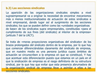 Dentro de ese universo casi inagotable de organizaciones sindicales posibles, si se pasa revista a la experiencia histórica, se puede concordar en que los ejes a partir de los cuales se construye esta variadísima tipología institucional que da lugar a la estructura sindical giran alrededor de los ámbitos funcional y territorial que le asignan los fundadores a cada organización. En el primer caso, se toma como elemento delimitador la profesión, empresa o sector de actividad en la cual se moverá la organización; y, en el segundo, se habla de la circunscripción geográfica en la que actuará tal sujeto colectivo.A partir de estos dos ámbitos delimitadores, se puede afirmar que los trabajadores han preferido definir estructuras sindicales a partir de tres criterios: la profesión (ahora en profundo declive aunque en los servicios públicos europeos viene revitalizándose), la empresa (en países como Estados Unidos, Japón y la mayoría de América Latina) y la rama de actividad a nivel estatal .Con lo que se puede afirmar que en la actualidad las estructuras sindicales predominantes en el mundo son las de empresa y las de rama de actividad a nivel estatal.Al interior de estas estructuras, los distintos sistemas de relaciones laborales no son homogéneos, puesto que hay países en los que los trabajadores de un determinado ámbito (centro de trabajo, empresa, rama de actividad, profesión, etc.) han decidido constituir una sola organización que los represente; en tanto que en otros países tal unidad ha sido impuesta por el Estado o simplemente no ha podido conseguirse y han surgido varias organizaciones para la tutela de sus intereses. 