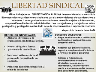 
LIBERTAD SINDICAL
«Los trabajadores SIN DISTINCION ALGUNA tienen el derecho a constituir
libremente las organizaciones sindicales para la mejor defensa de sus derechos e
intereses. Las organizaciones sindicales no están sujetas a intervención,
suspensión o disolución administrativa. Los trabajadores y trabajadoras están
protegidos y protegidas contra todo acto de discriminación o injerencia contrario
al ejercicio de este derecho»
DERECHOS INDIVIDUALES:
• Afiliarse libremente a la
organización sindical que decida.
• No ser obligado a formar
• parte o no de un sindicato
• Intervenir activamente en el
proceso de formación de un
sindicato.
• Participar democráticamente en la
toma de decisiones
DERECHOS COLECTIVOS:
• Elegir, en el marco de la democracia
participativa y protagónica, a su
directiva sindical.
• Redactar sus propios estatutos,
organizar su administración interna
y formular su plan o programa
• Afiliarse a federaciones,
confederaciones o centrales
sindicales, incluso a nivel
internacional, sin autorización
previa y a separarse de las mismas
si lo consideran conveniente.
 