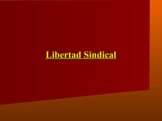 Libertad SindicalLibertad Sindical
 