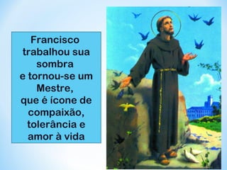 Francisco 
trabalhou sua 
sombra 
e tornou-se um 
Mestre, 
que é ícone de 
compaixão, 
tolerância e 
amor à vida 
 