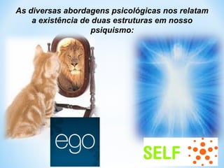As diversas abordagens psicológicas nos relatam 
a existência de duas estruturas em nosso 
psiquismo: 
SELF 
 