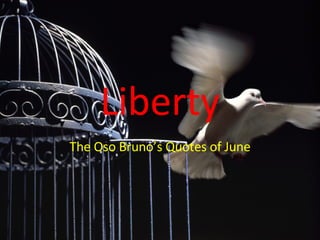Liberty The Oso Bruno’s Quotes of June 