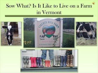 Sow What? Is It Like to Live on a Farm
            in Vermont
 
