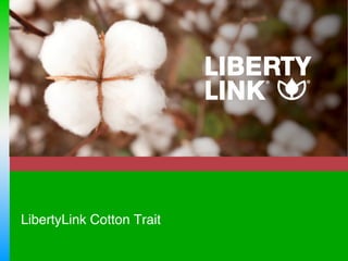 LibertyLink Cotton Trait 
"

 