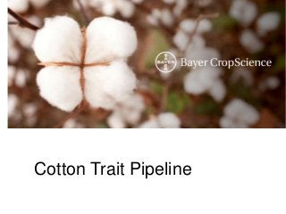 Cotton Trait Pipeline

 