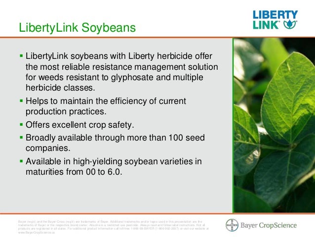 libertylink-trait-liberty-herbicide-soybeans