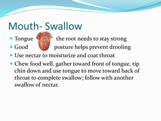Mouth- Swallow
 Tongue the root needs to stay strong
 Good posture helps prevent drooling
 Use nectar to moisturize and coat throat
 Chew food well, gather toward front of tongue, tip
chin down and use tongue to move toward back of
throat to complete swallow; follow with another
swallow of nectar.
 