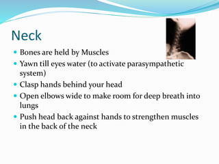 Neck
 Bones are held by Muscles
 Yawn till eyes water (to activate parasympathetic
system)
 Clasp hands behind your head
 Open elbows wide to make room for deep breath into
lungs
 Push head back against hands to strengthen muscles
in the back of the neck
 