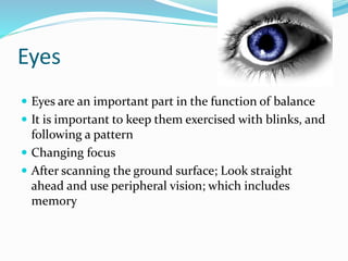 Eyes
 Eyes are an important part in the function of balance
 It is important to keep them exercised with blinks, and
following a pattern
 Changing focus
 After scanning the ground surface; Look straight
ahead and use peripheral vision; which includes
memory
 