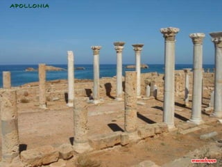 APOLLONIA 