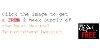 Click the image to get
a FREE 2 Week Supply of
the best Natural
Testosterone booster
 