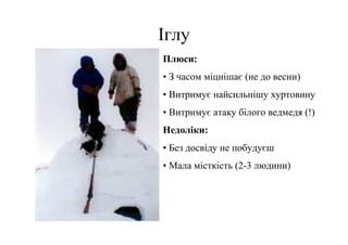 Іглу
Плюси:
• З часом міцнішає (не до весни)
• Витримує найсильнішу хуртовину
• Витримує атаку білого ведмедя (!)
Недоліки:
• Без досвіду не побудуєш
• Мала місткість (2-3 людини)
 