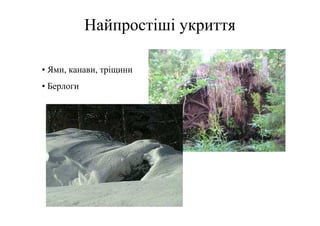 Найпростіші укриття

• Ями, канави, тріщини
• Берлоги
 