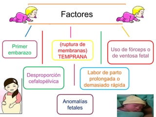 Factores
Primer
embarazo
Desproporción
cefalopélvica
(ruptura de
membranas)
TEMPRANA
Labor de parto
prolongada o
demasiado rápida
Uso de fórceps o
de ventosa fetal
Anomalías
fetales