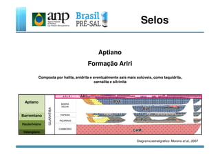Selos
Aptiano
Formação Ariri
Composta por halita, anidrita e eventualmente sais mais solúveis, como taquidrita,
Aptiano
Barremiano
Hauteriviano
Valangiano
Composta por halita, anidrita e eventualmente sais mais solúveis, como taquidrita,
carnalita e silvinita
Diagrama estratigráfico: Moreira et al., 2007
 