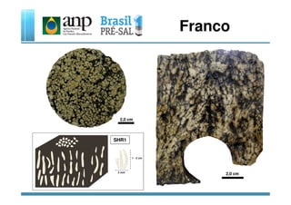 Franco
SHR1
2,0 cm
2,0 cm
 