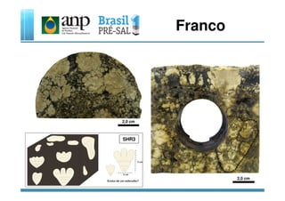 Franco
SHR3
2,0 cm
2,0 cm
 