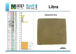 Libra
T1
T2
Calcarenito fino
2,0 cm
 