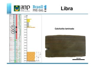 Libra
T1
T2
Calcilutito laminado
3,0 cm
 