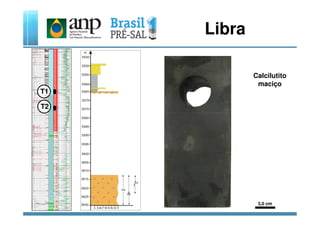 Libra
T1
T2
Calcilutito
maciço
3,0 cm
 