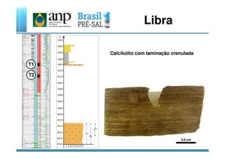 Libra
T1
T2
Calcilutito com laminação crenulada
3,0 cm
 