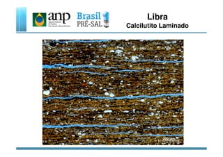 Libra
Calcilutito Laminado
 