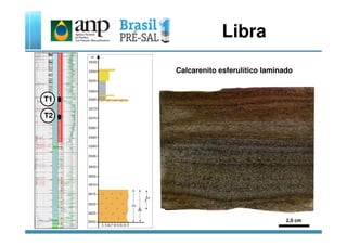 Libra
T1
T2
Calcarenito esferulítico laminado
2,0 cm
 